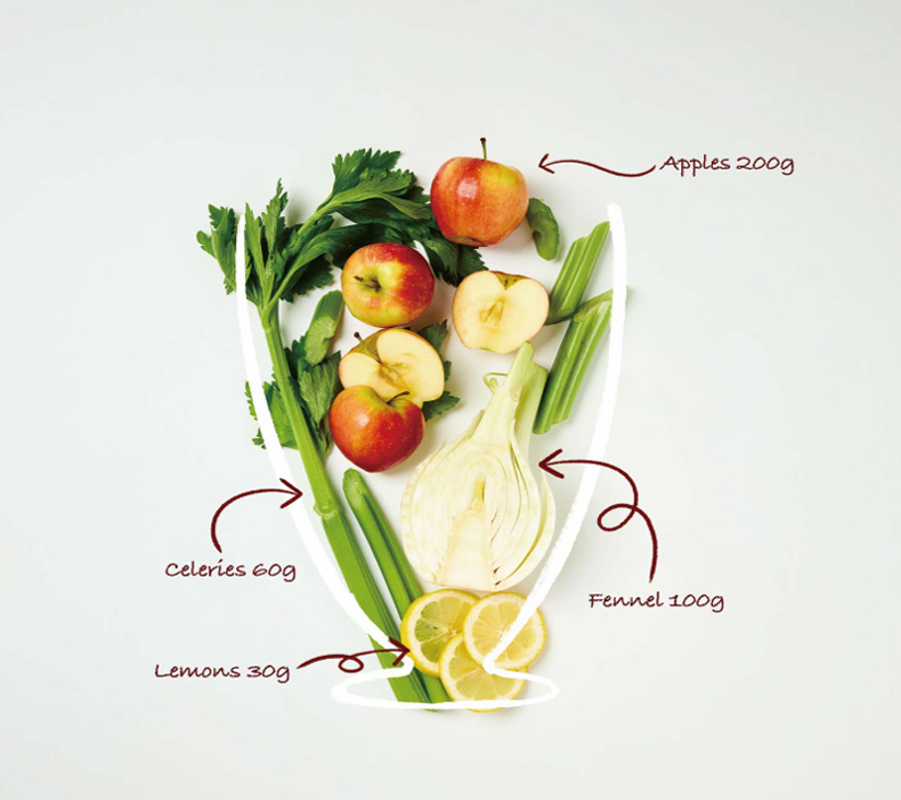 Illustration of apples, fennel, celery, and lemons with labeled amounts
