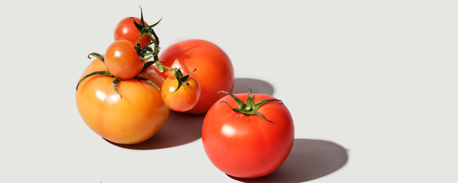 Wie Tomatensaft vor den Mahlzeiten den Blutzucker beeinflusst