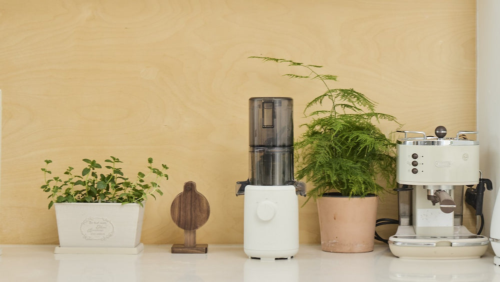Small white appliance on a countertop with plants and a beige wall in the background H310A
