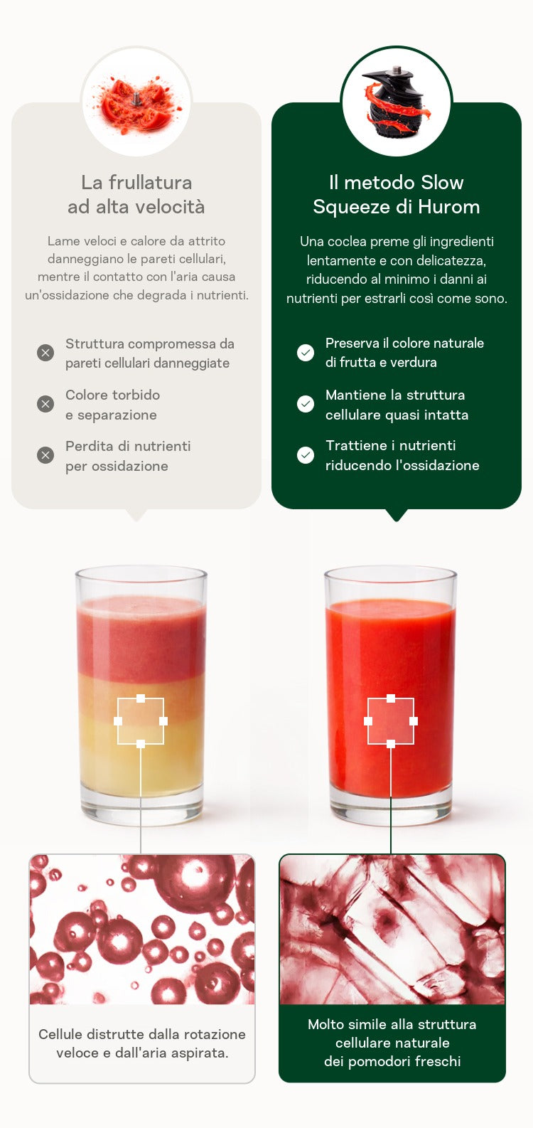 Infografica che confronta frullatura ed estrazione. La frullatura ad alta velocità distrugge le pareti cellulari (vista microscopica di bolle rotte), causando colore torbido e separazione. Il metodo Slow Squeeze di Hurom riduce al minimo la perdita di nutrienti e mantiene intatte le strutture cellulari (vista microscopica di cellule vegetali preservate), per un colore naturale e un maggiore apporto nutrizionale.